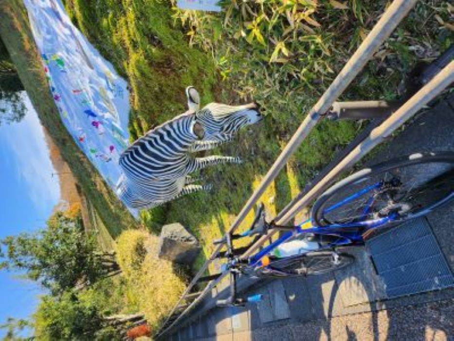 画像がありません～クリックして次へ