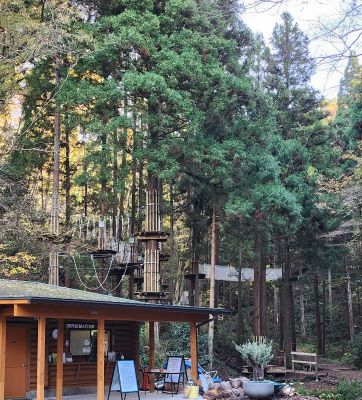 画像がありません～クリックして次へ