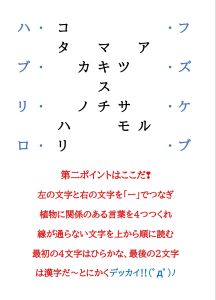 画像がありません～クリックして次へ